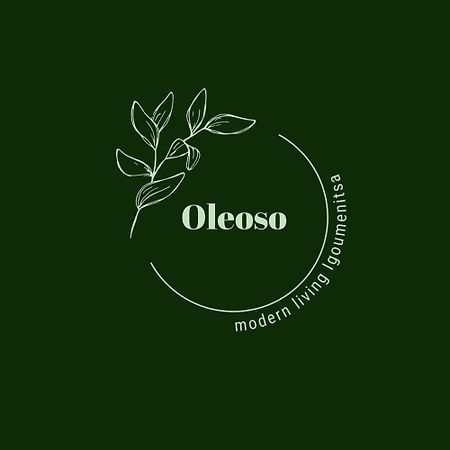 Oleoso Apartment Igoumenitsa Luaran gambar