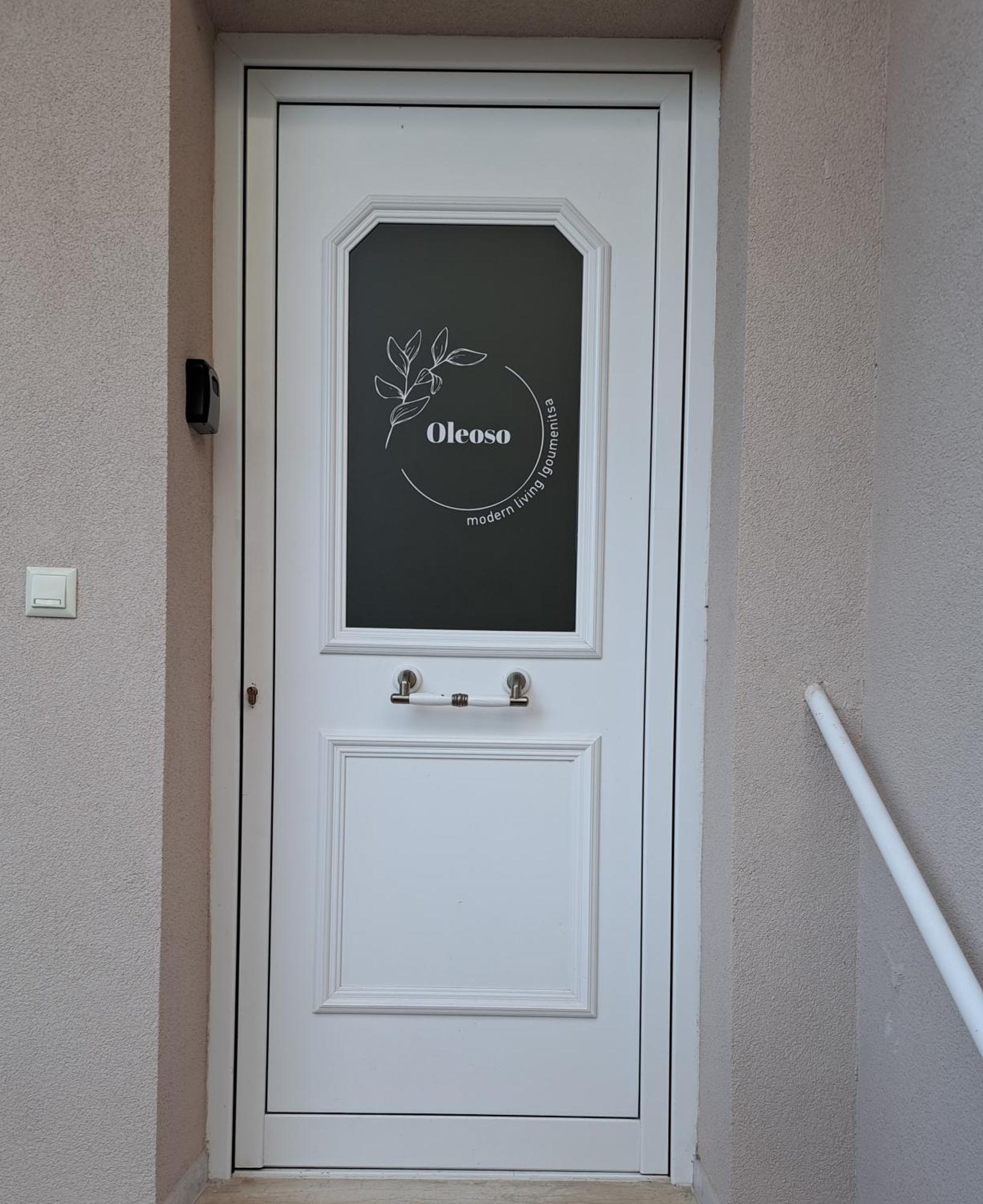Oleoso Apartment Igoumenitsa Luaran gambar