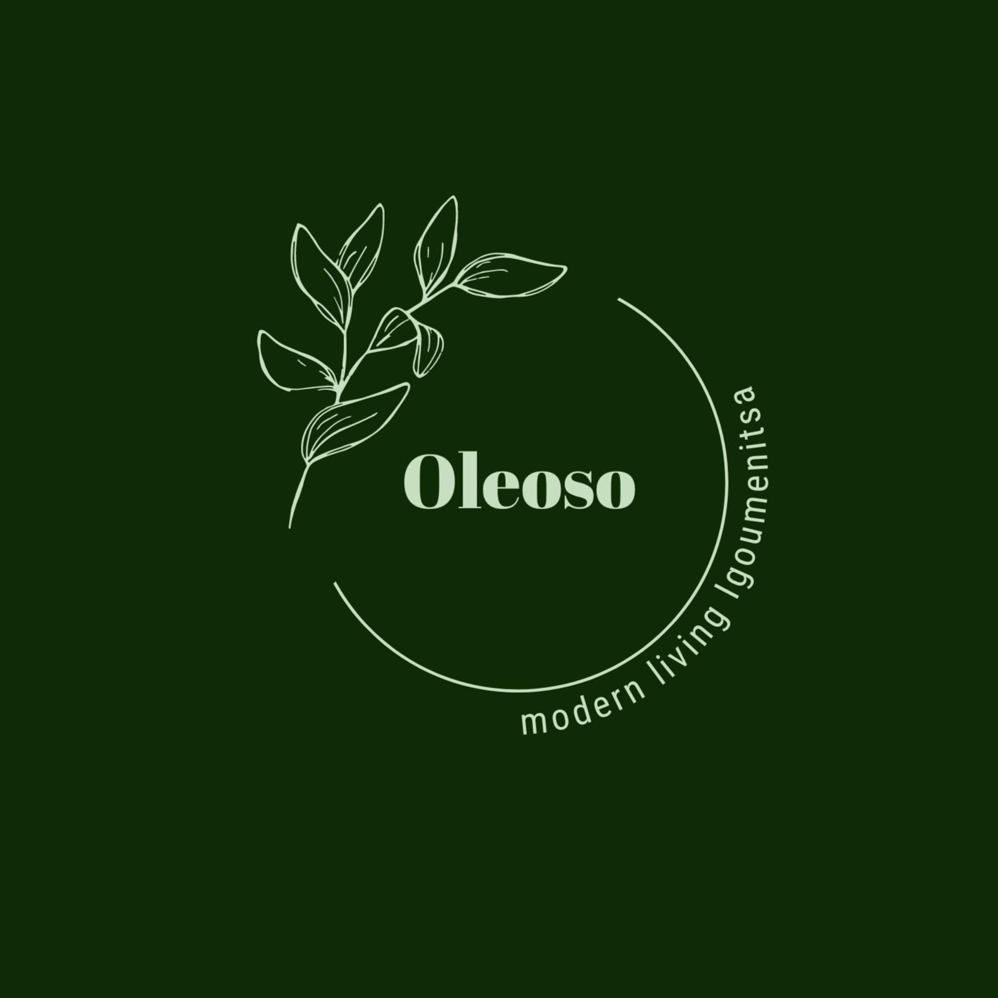 Oleoso Apartment Igoumenitsa Luaran gambar