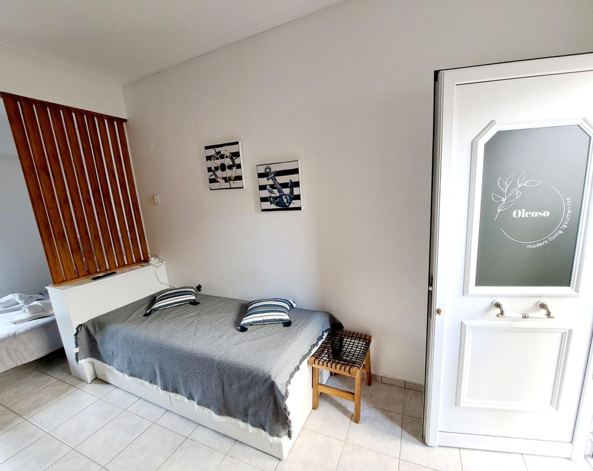Oleoso Apartment Igoumenitsa Luaran gambar