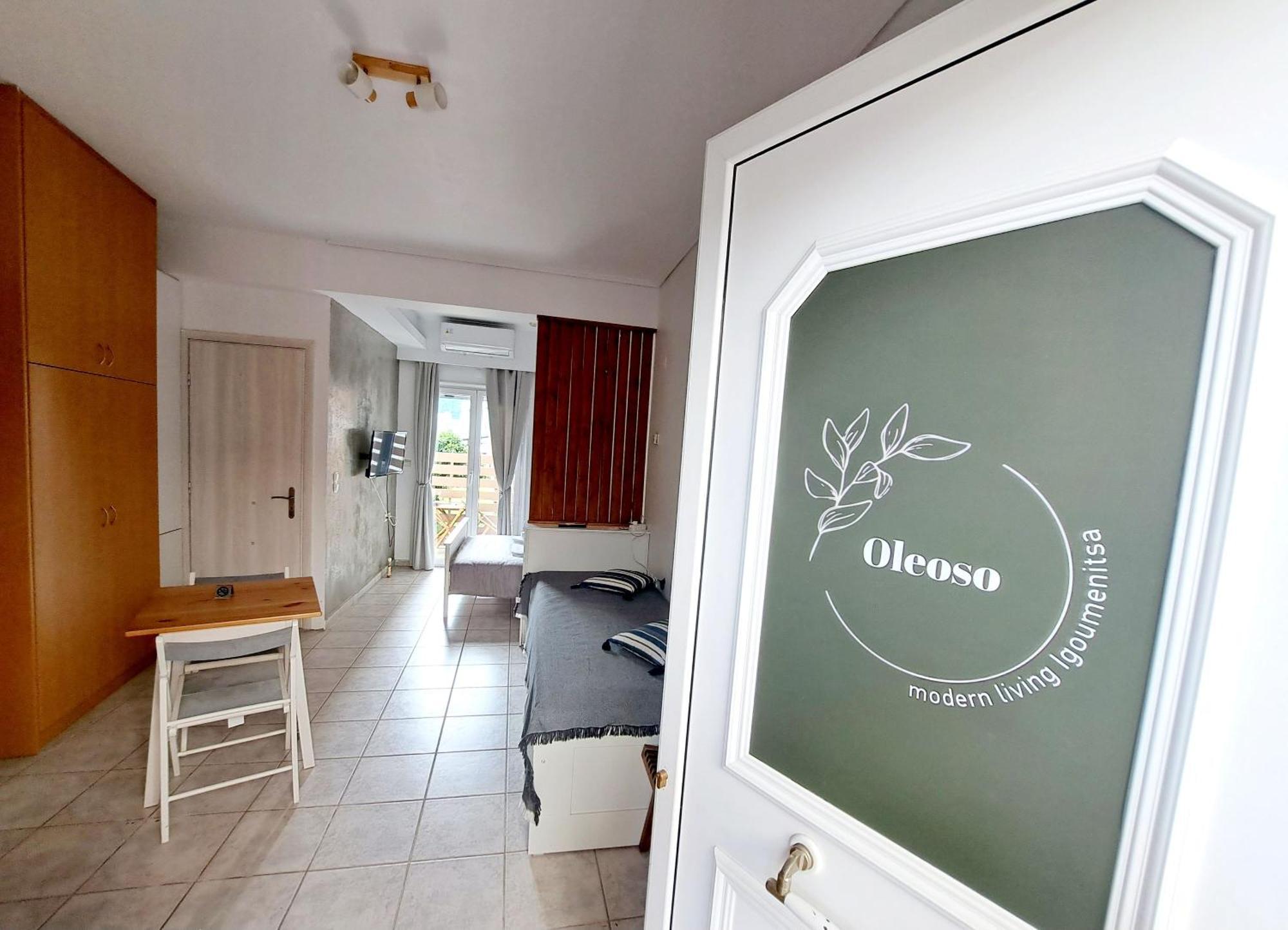 Oleoso Apartment Igoumenitsa Luaran gambar