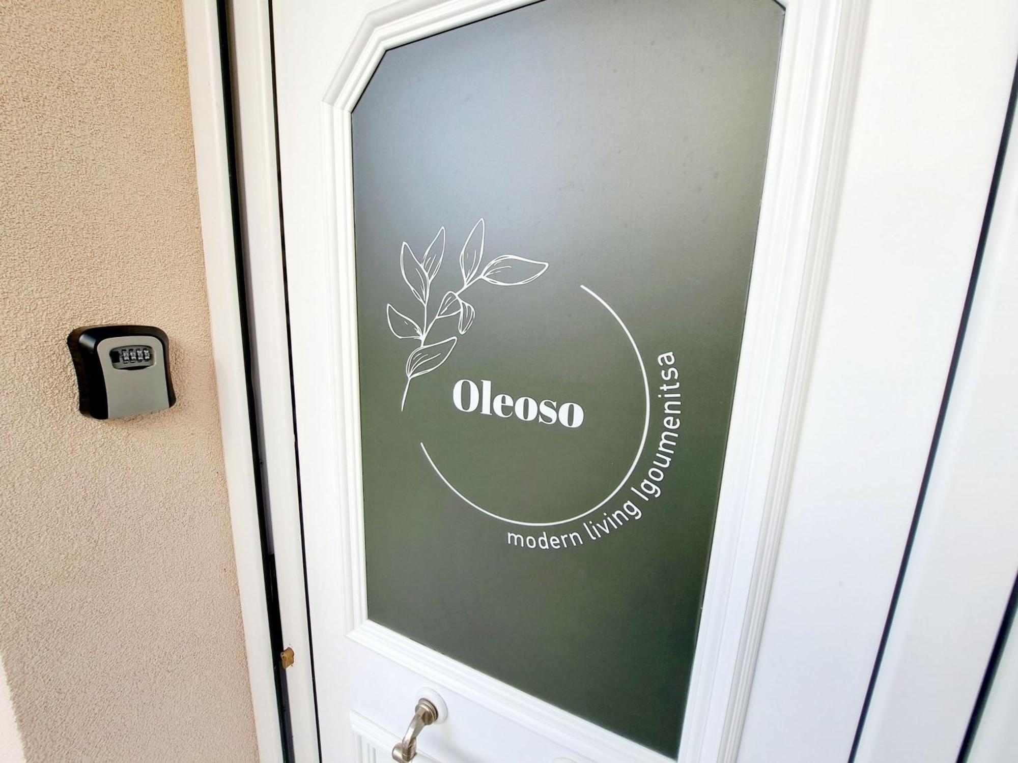Oleoso Apartment Igoumenitsa Luaran gambar